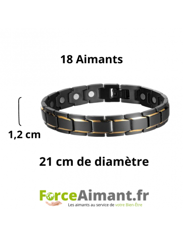 Bracelet magnétique Triomphe