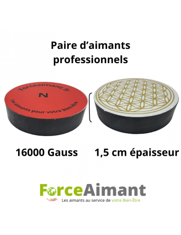 Paire d'aimants professionnels