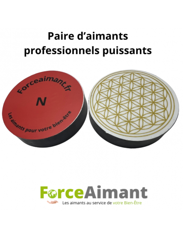 Paire d'aimants professionnels