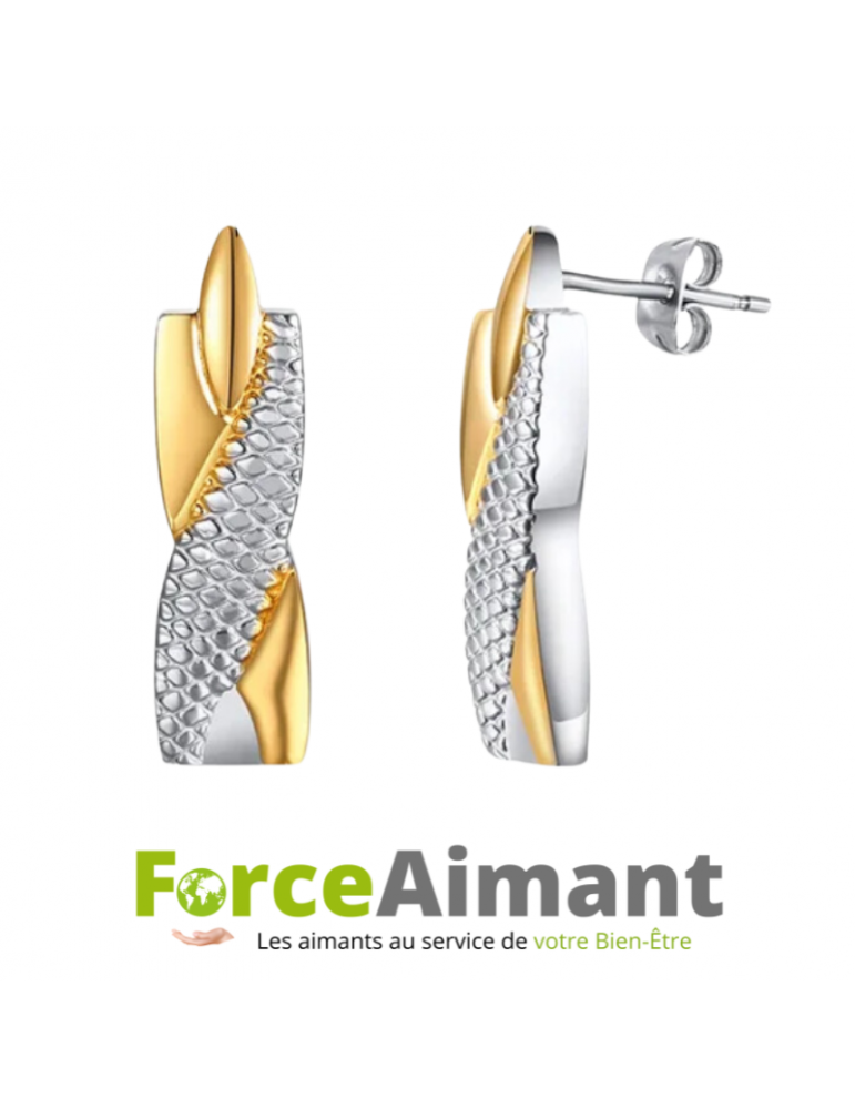 Boucles d'oreilles magnétiques