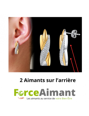 Boucles d'oreilles magnétiques