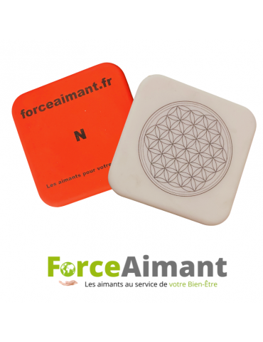 Paire de magnets