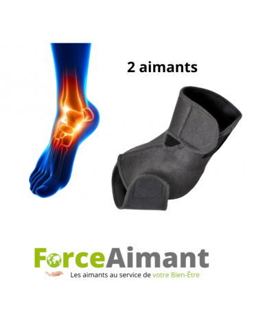 Chevillère magnétique