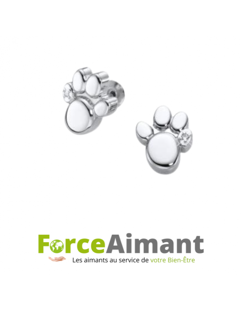 Boucles d'oreilles magnétiques