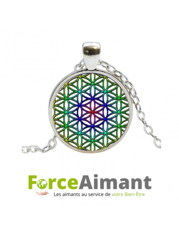 Collier fleur de vie dôme en verre 3D
