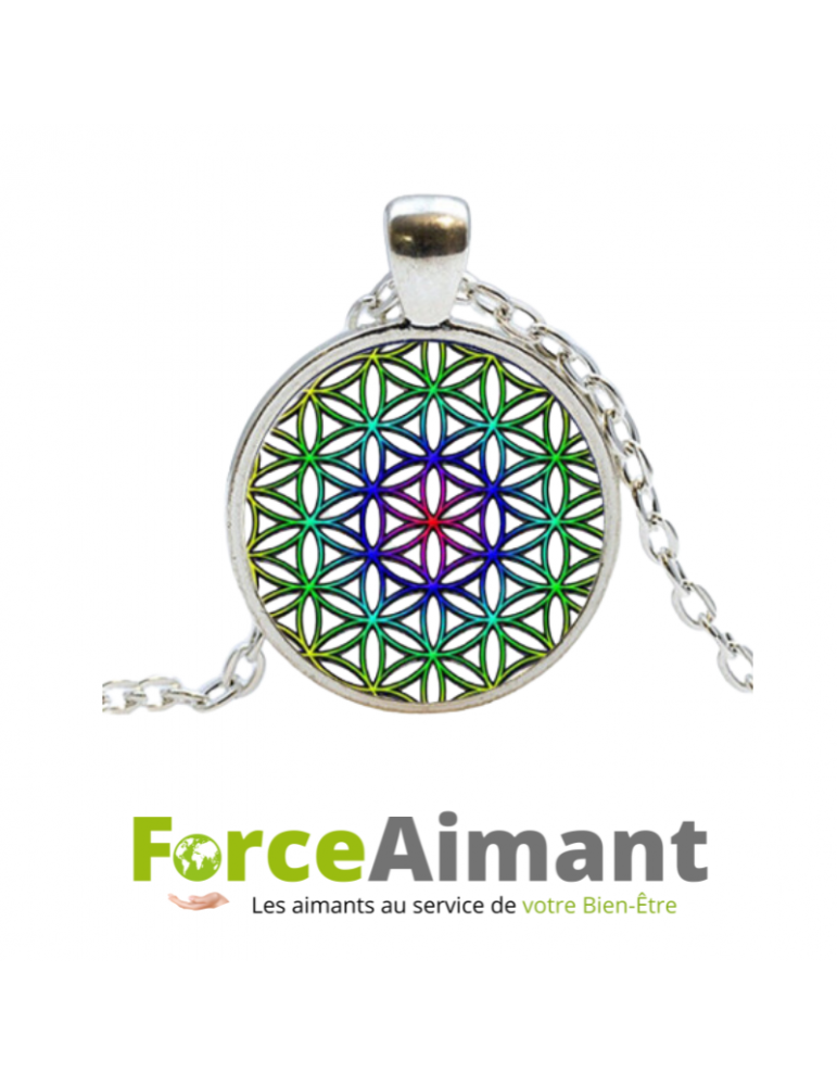 Collier fleur de vie dôme en verre 3D