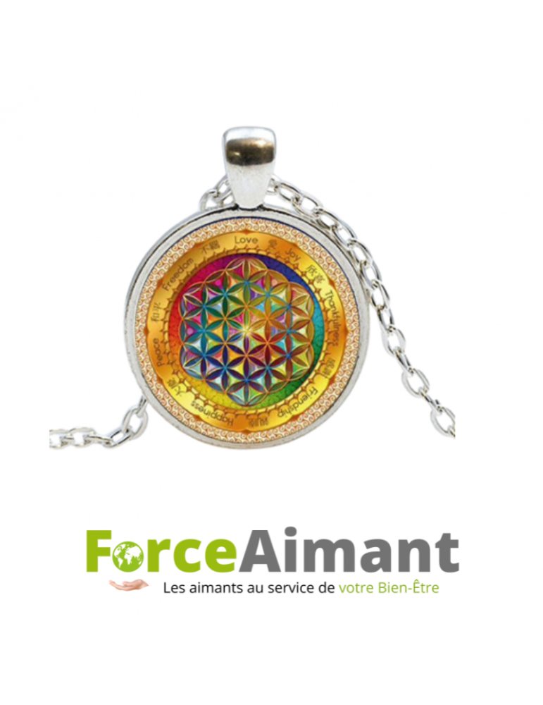 Collier fleur de vie dôme en verre 3D