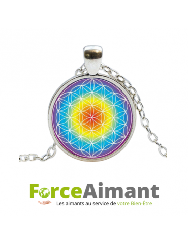 Collier fleur de vie dôme en verre 3D