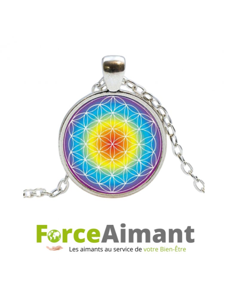 Collier fleur de vie dôme en verre 3D