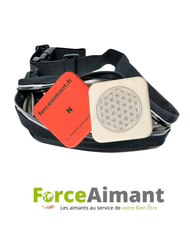 Paire de magnets