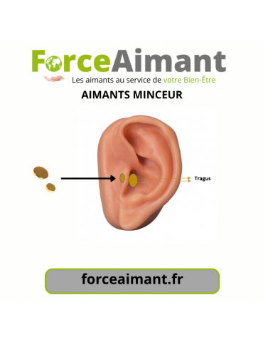 Aimants minceur