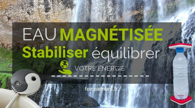 Eau magnétisée avec les palets ForceAimant