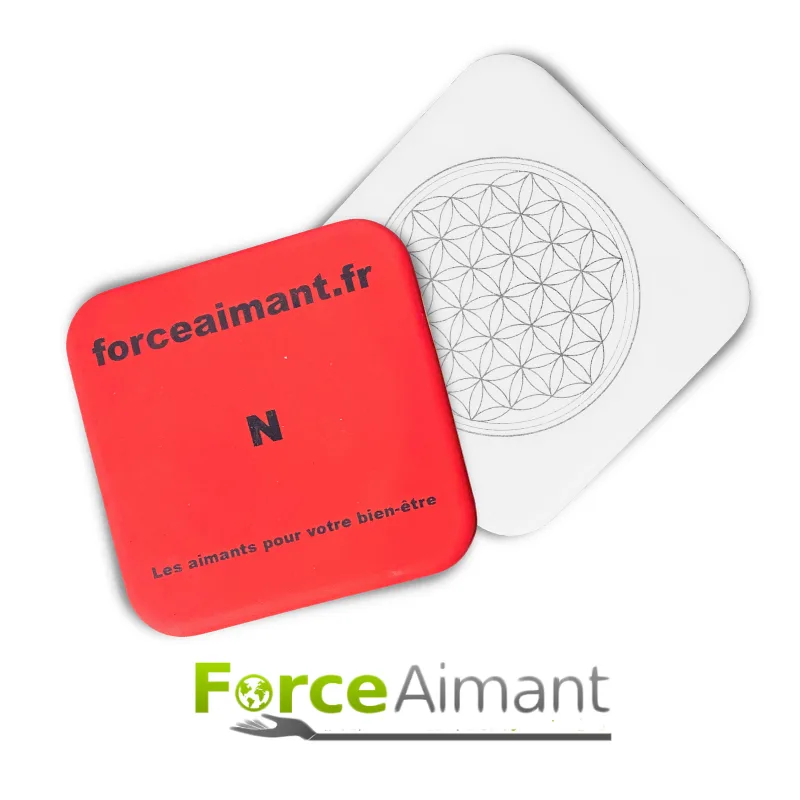 Paire de magnets ForceAimant pour magnétiser l’eau