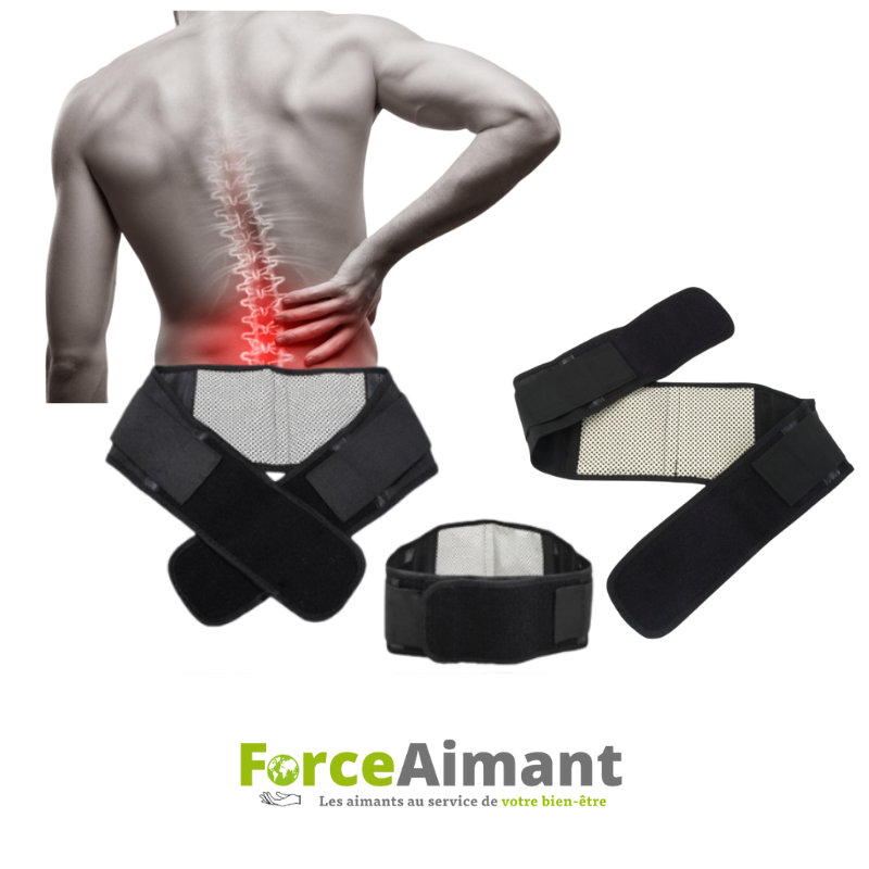 Détail des 16 aimants intégrés dans la ceinture magnétique lombaire.