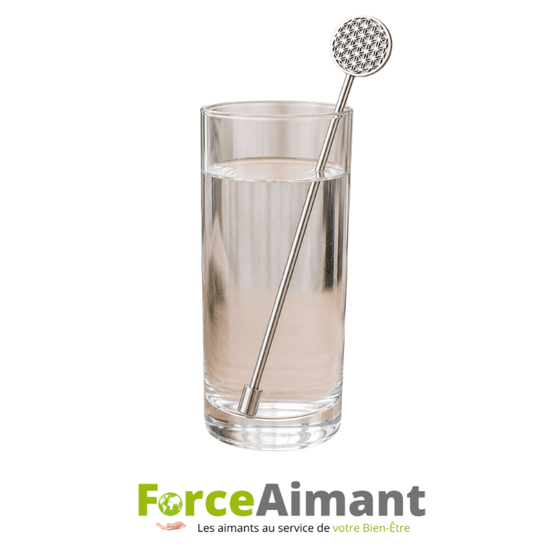 Baguette magnétique Fleur de Vie plongée dans un verre d'eau.