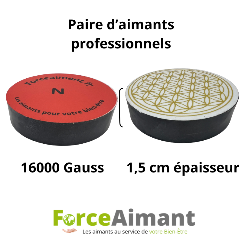 Paire d'aimants professionnels de magnétothérapie pour une utilisation ciblée du bien-être.