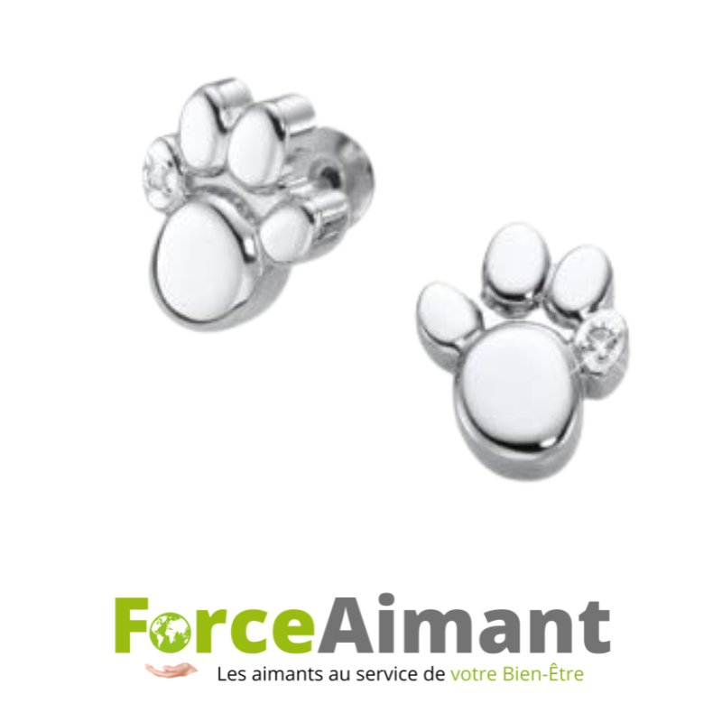 Boucles d'oreilles magnétiques Patte d'amour en acier inoxydable avec un petit cristal scintillant et aimants intégrés.