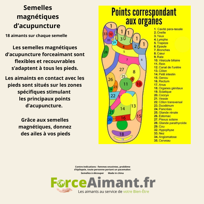 Schéma des principaux points d'acupuncture et de réflexologie plantaire.