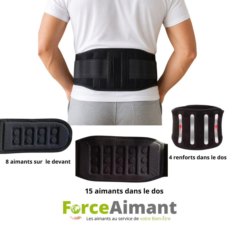 Ceinture magnétique 23 aimants vue de dos.
