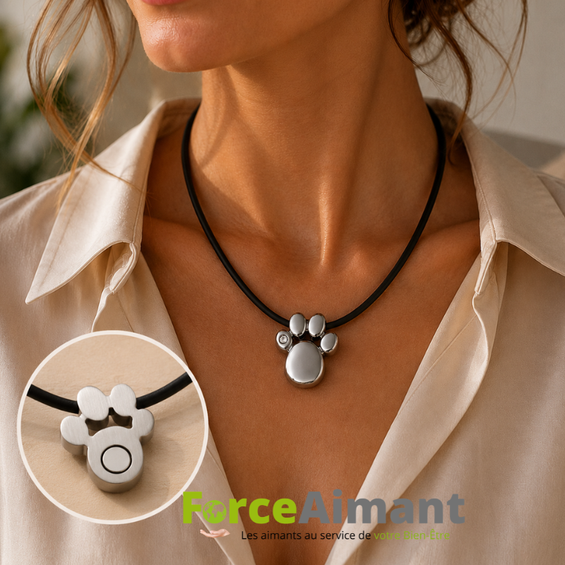 Collier patte de chat avec aimant et strass porté autour du cou d'une femme, pendentif élégant au design félin.